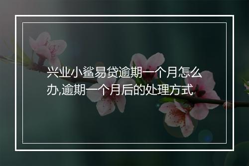 兴业小鲨易贷逾期一个月怎么办,逾期一个月后的处理方式