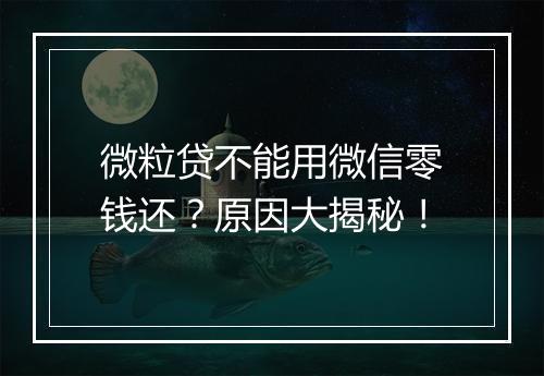 微粒贷不能用微信零钱还？原因大揭秘！
