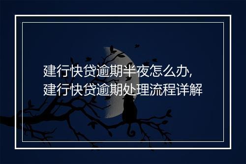 建行快贷逾期半夜怎么办,建行快贷逾期处理流程详解