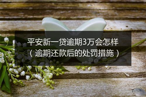 平安新一贷逾期3万会怎样（逾期还款后的处罚措施）