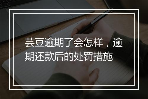 芸豆逾期了会怎样，逾期还款后的处罚措施