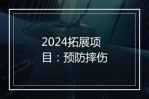 2024拓展项目：预防摔伤