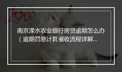 南京溧水农业银行房贷逾期怎么办（逾期罚息计算催收流程详解）