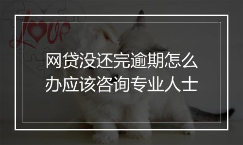 网贷没还完逾期怎么办应该咨询专业人士