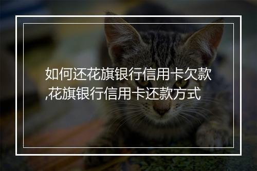 如何还花旗银行信用卡欠款,花旗银行信用卡还款方式
