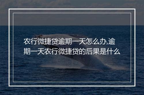 农行微捷贷逾期一天怎么办,逾期一天农行微捷贷的后果是什么