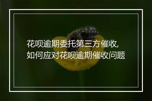 花呗逾期委托第三方催收,如何应对花呗逾期催收问题