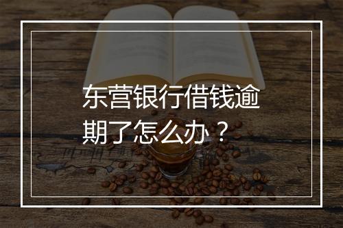 东营银行借钱逾期了怎么办？