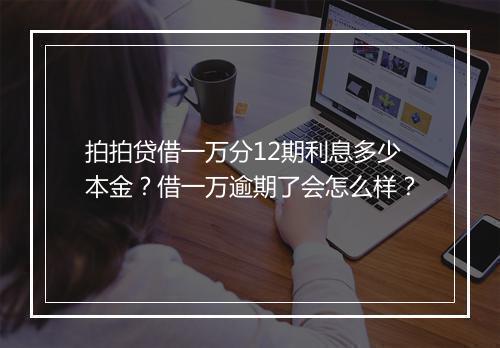 拍拍贷借一万分12期利息多少本金？借一万逾期了会怎么样？