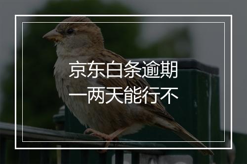 京东白条逾期一两天能行不