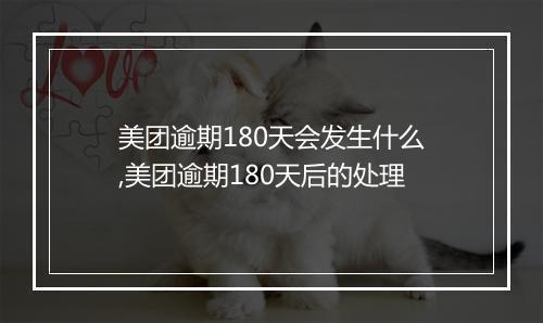 美团逾期180天会发生什么,美团逾期180天后的处理