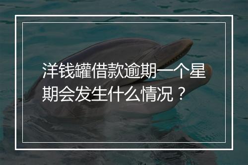 洋钱罐借款逾期一个星期会发生什么情况？