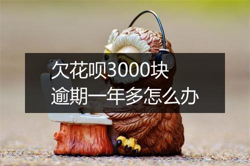 欠花呗3000块逾期一年多怎么办