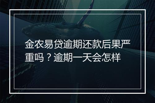 金农易贷逾期还款后果严重吗？逾期一天会怎样
