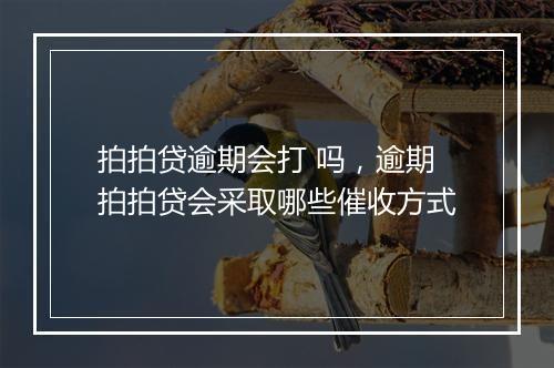 拍拍贷逾期会打 吗，逾期拍拍贷会采取哪些催收方式