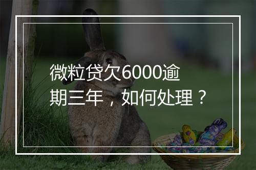 微粒贷欠6000逾期三年，如何处理？