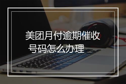 美团月付逾期催收 号码怎么办理