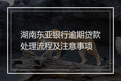 湖南东亚银行逾期贷款处理流程及注意事项