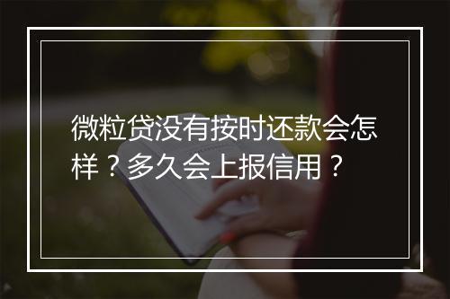 微粒贷没有按时还款会怎样？多久会上报信用？
