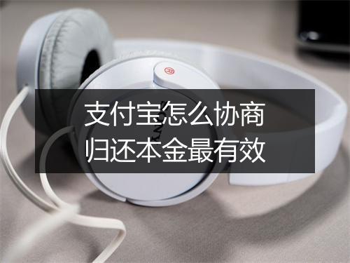支付宝怎么协商归还本金最有效