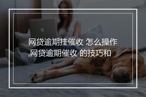 网贷逾期挂催收 怎么操作,网贷逾期催收 的技巧和