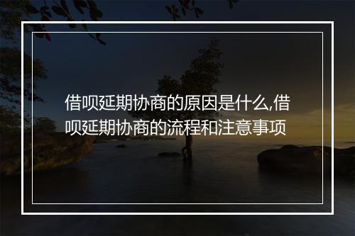 借呗延期协商的原因是什么,借呗延期协商的流程和注意事项