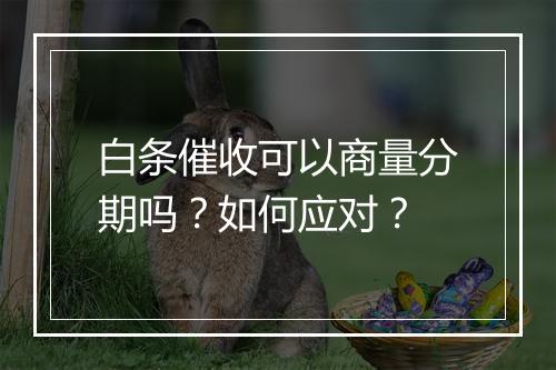 白条催收可以商量分期吗？如何应对？