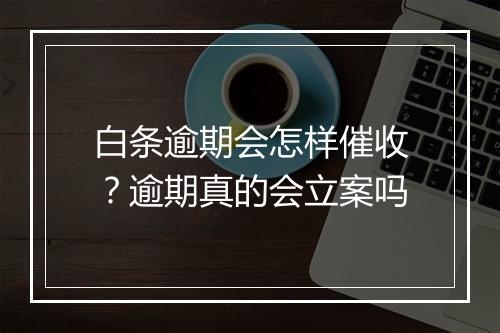 白条逾期会怎样催收？逾期真的会立案吗