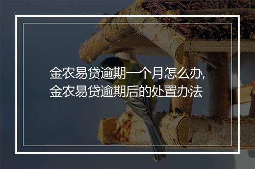 金农易贷逾期一个月怎么办,金农易贷逾期后的处置办法
