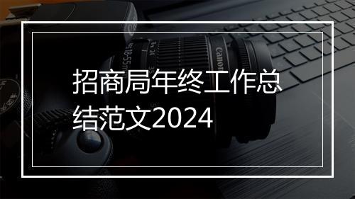 招商局年终工作总结范文2024