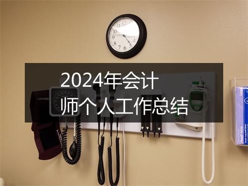 2024年会计师个人工作总结