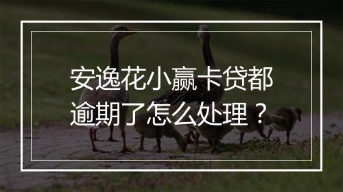 安逸花小赢卡贷都逾期了怎么处理？
