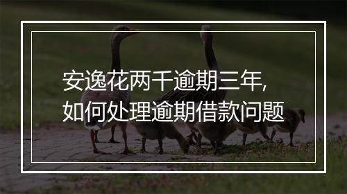 安逸花两千逾期三年,如何处理逾期借款问题