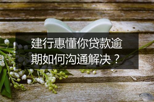建行惠懂你贷款逾期如何沟通解决？