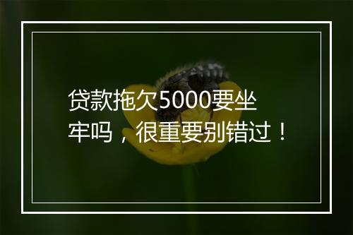 贷款拖欠5000要坐牢吗，很重要别错过！
