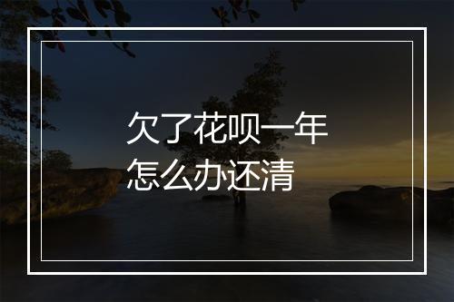 欠了花呗一年怎么办还清