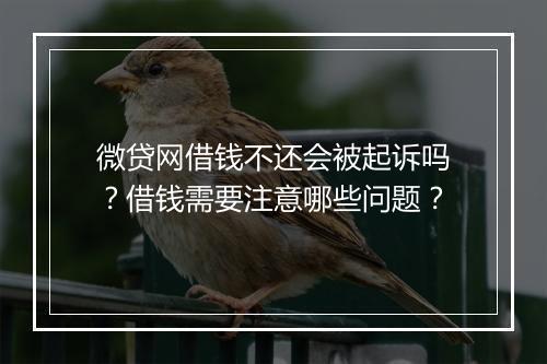 微贷网借钱不还会被起诉吗？借钱需要注意哪些问题？