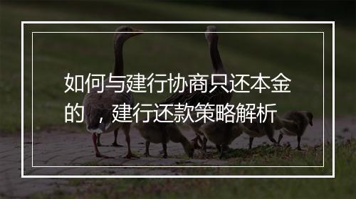 如何与建行协商只还本金的 ，建行还款策略解析