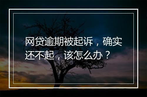 网贷逾期被起诉，确实还不起，该怎么办？