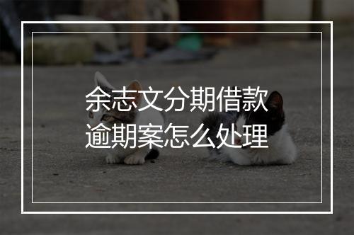 余志文分期借款逾期案怎么处理