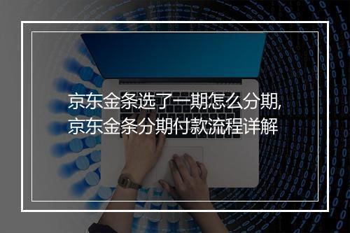京东金条选了一期怎么分期,京东金条分期付款流程详解