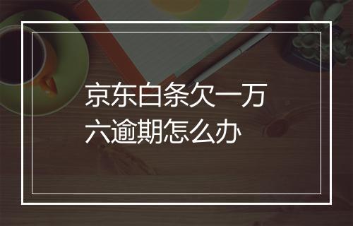 京东白条欠一万六逾期怎么办