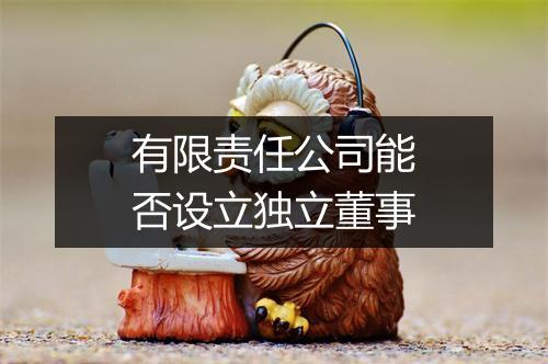 有限责任公司能否设立独立董事