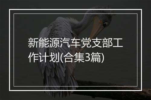 新能源汽车党支部工作计划(合集3篇)