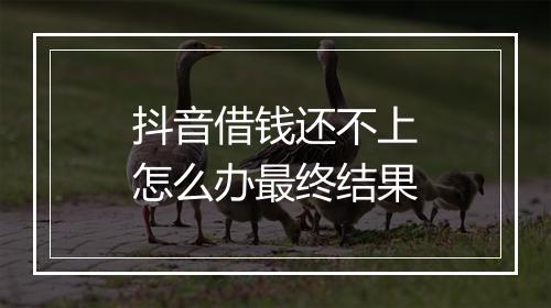 抖音借钱还不上怎么办最终结果