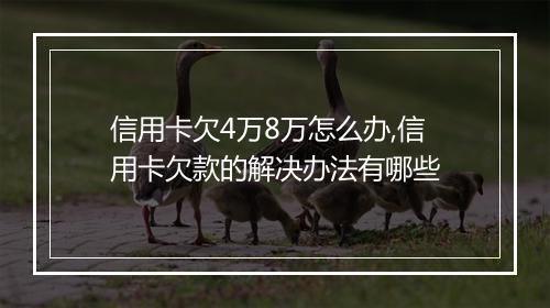 信用卡欠4万8万怎么办,信用卡欠款的解决办法有哪些
