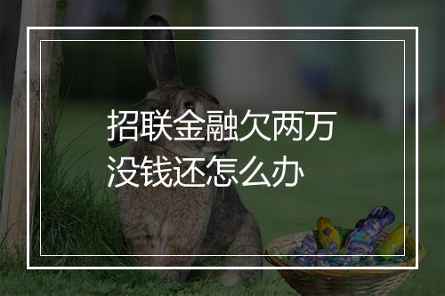 招联金融欠两万没钱还怎么办