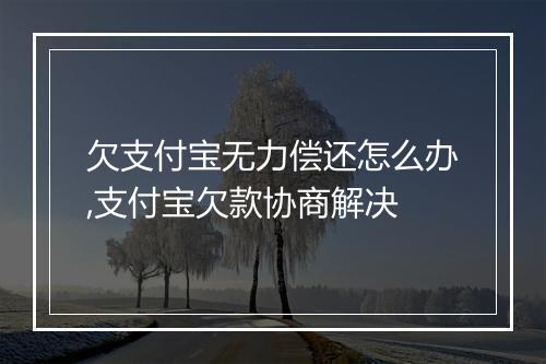 欠支付宝无力偿还怎么办,支付宝欠款协商解决