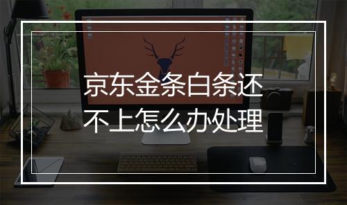 京东金条白条还不上怎么办处理