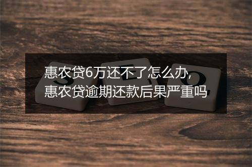 惠农贷6万还不了怎么办,惠农贷逾期还款后果严重吗
